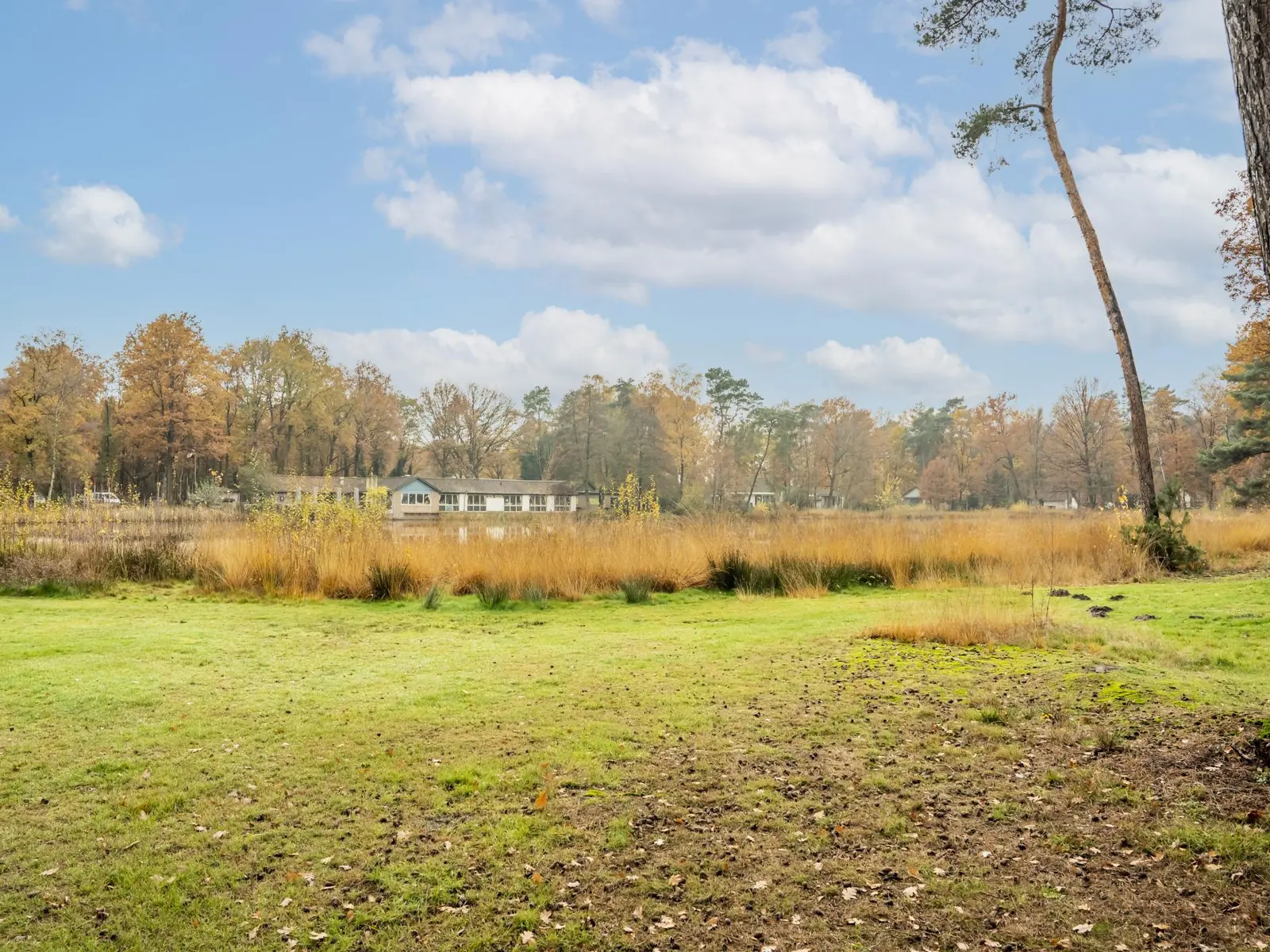 The lake from the field, in autumn