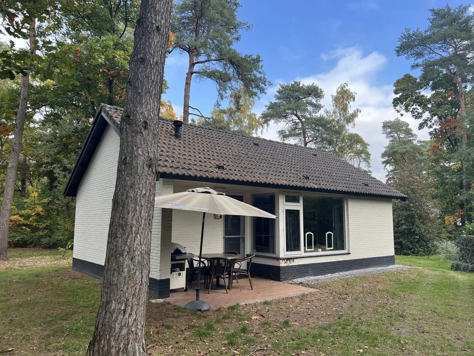 The bungalow among the pines, with the terrace