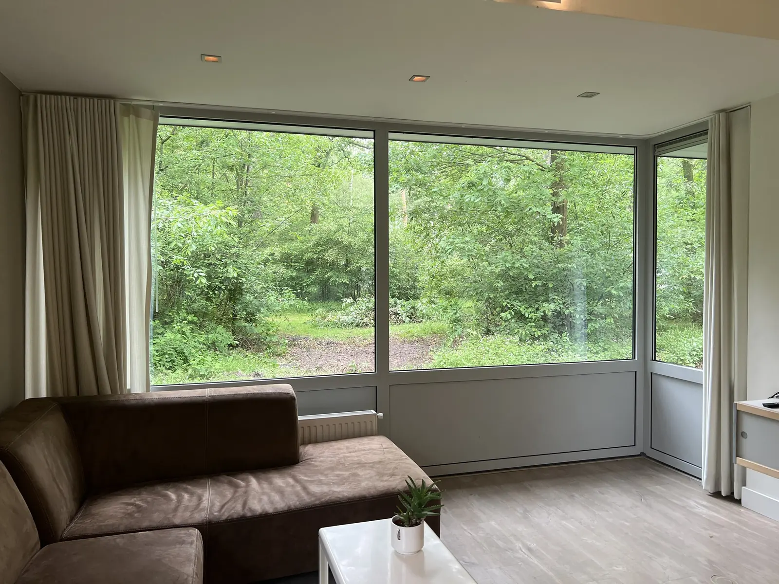 Corner sofa in front of the large windows, looking out on the greenery