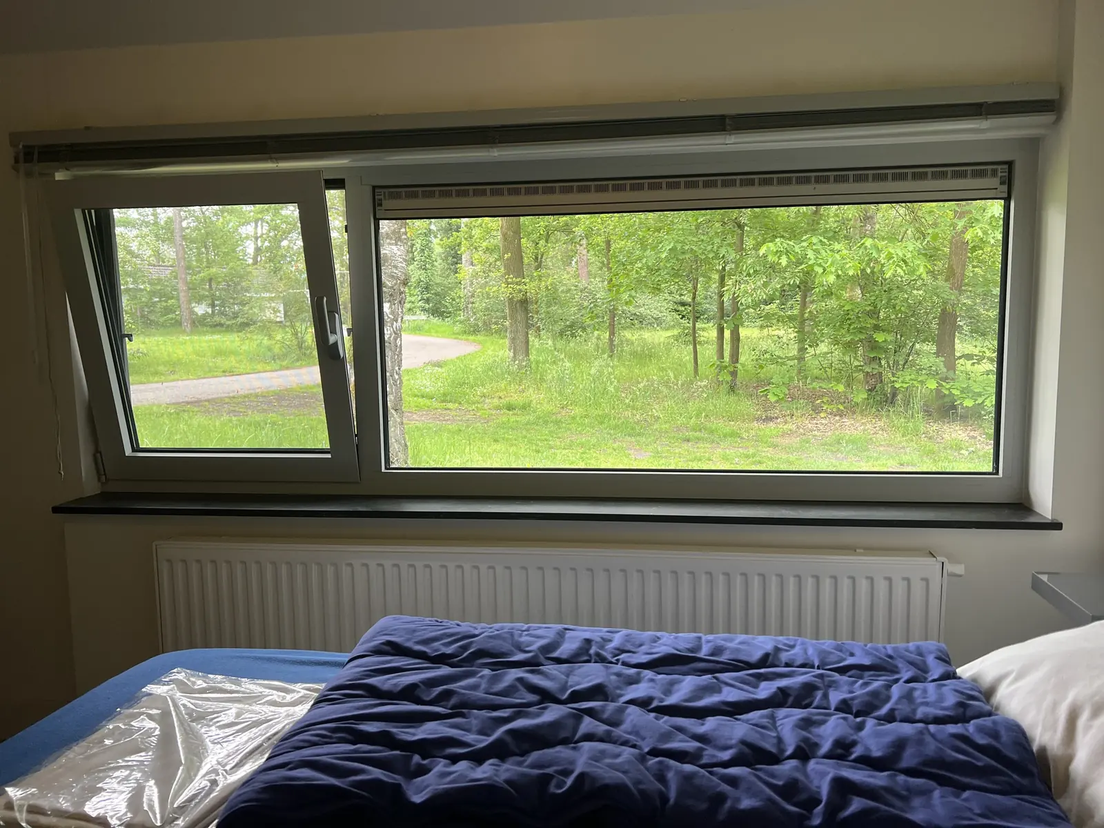 View from the bedroom: grass and trees
