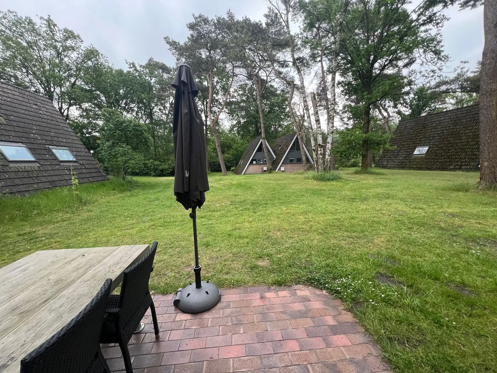 The view from the terrace: the lawn and other A-frames among the pines and birches