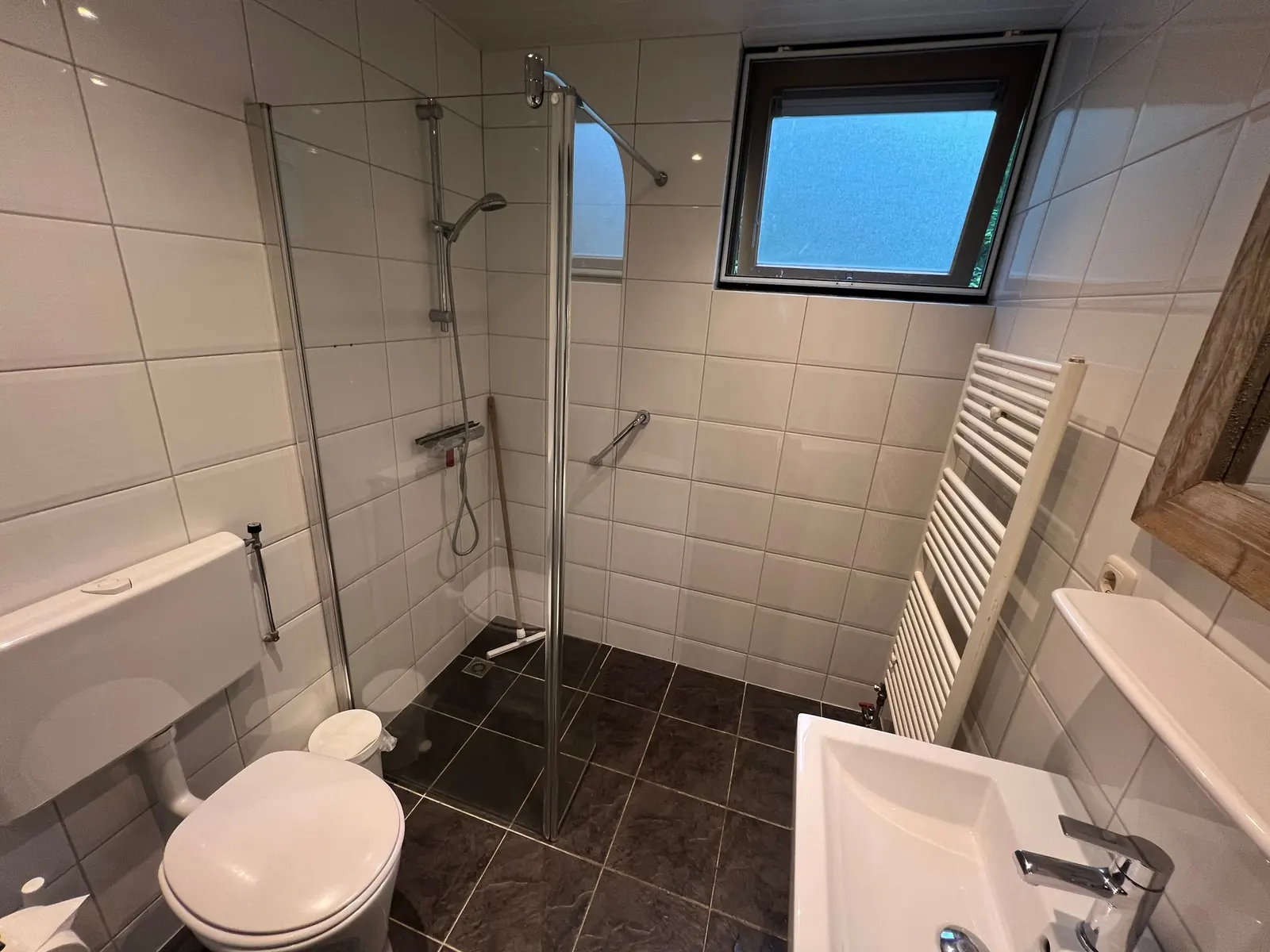 Bathroom with a walk-in shower behind glass, toilet and washbasin
