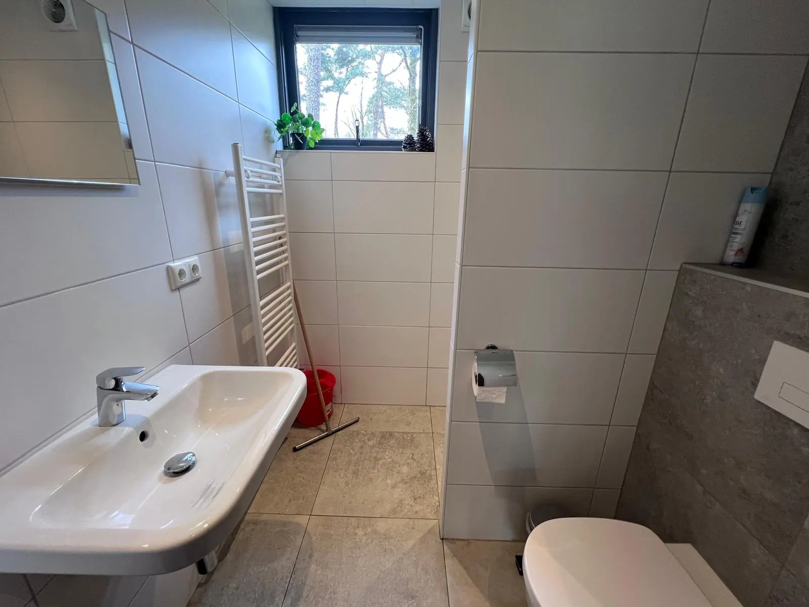 Bathroom with washbasin, toilet and towel radiator