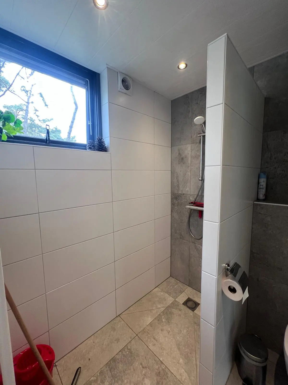 Walk-in shower with daylight