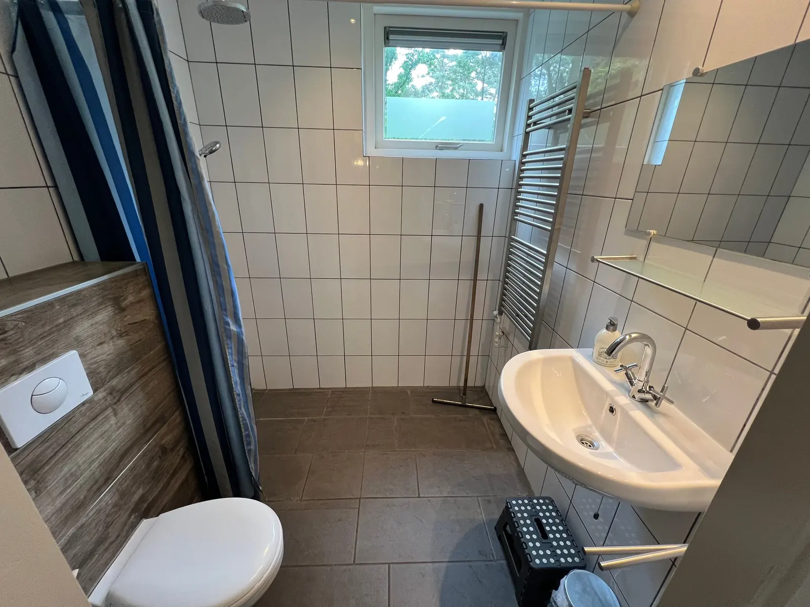 Bathroom with a shower behind a curtain, washbasin and toilet