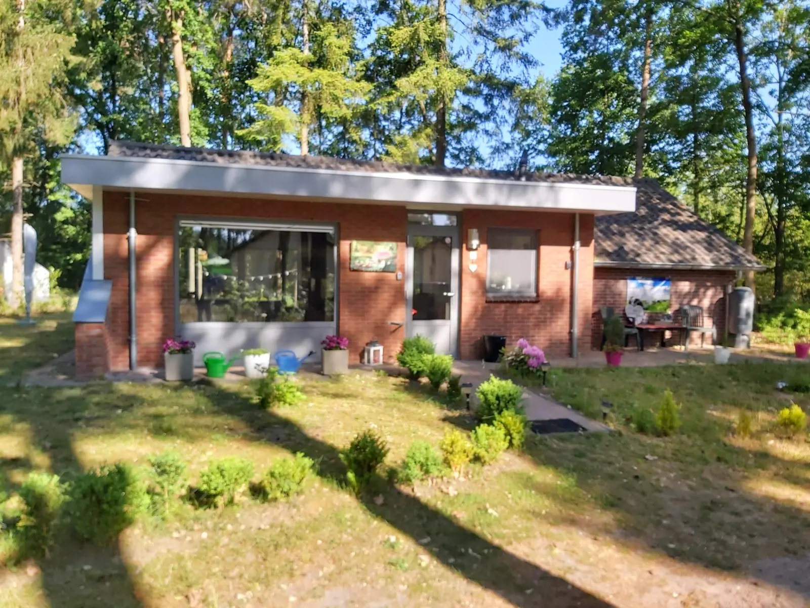 Huisje 26 Vliegenzwam, rustige ligging